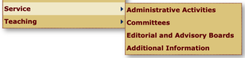 A screenshot of MIV's Service entry options.