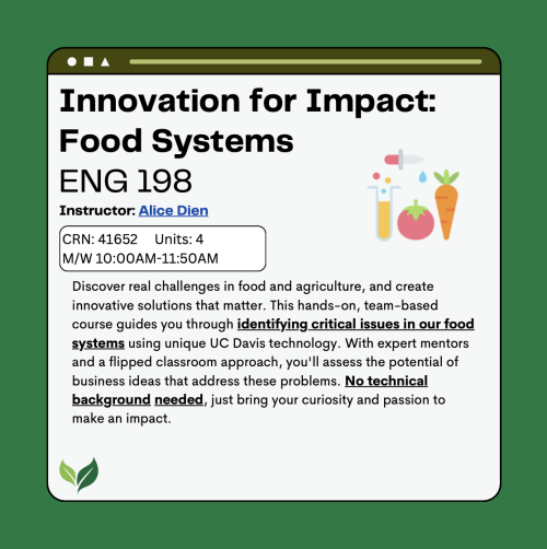 Flyer for Innovation for Impact Food Systems Course ENG 198