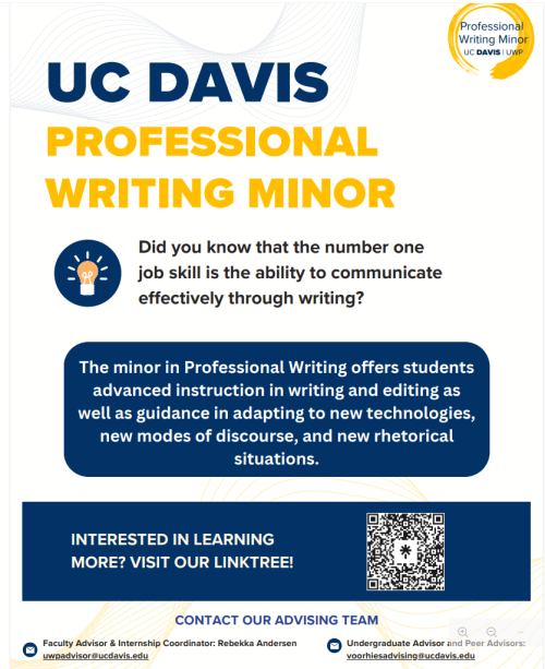 White flyer with blue text boxes describing professional minor. 